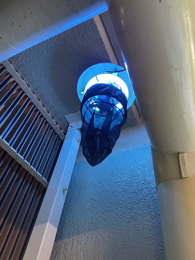 害虫駆除