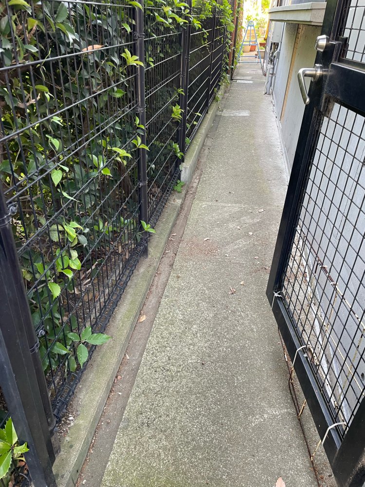 害虫駆除