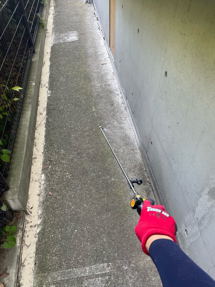 害虫駆除