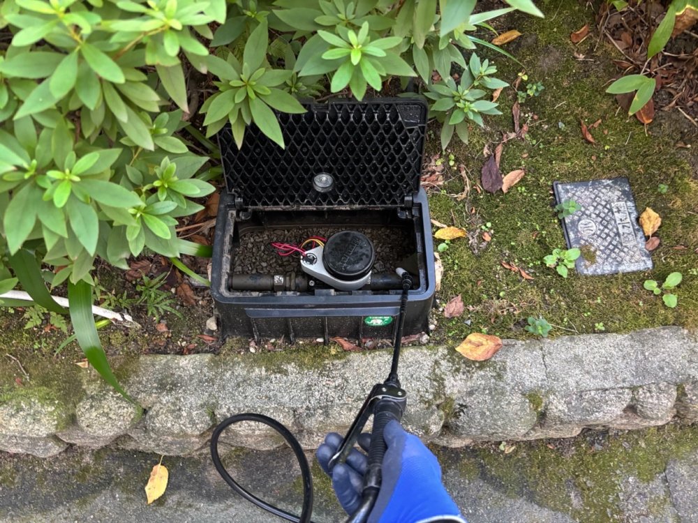害虫駆除