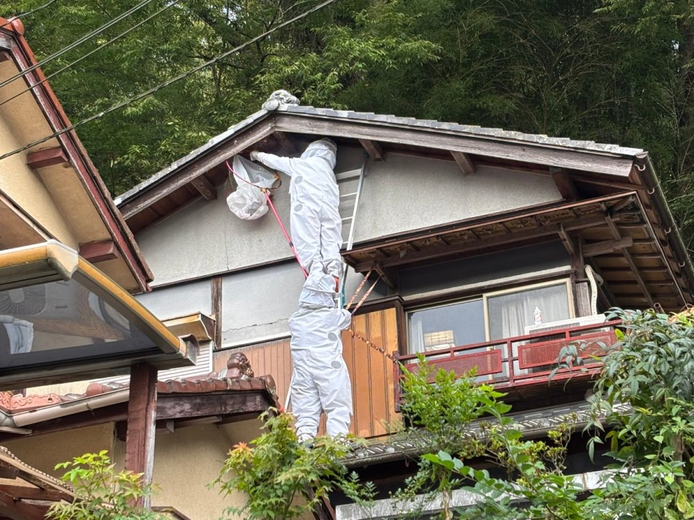 害虫駆除