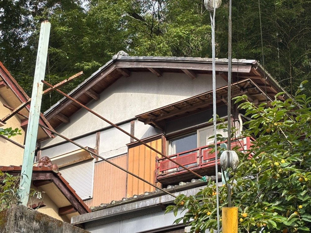 害虫駆除
