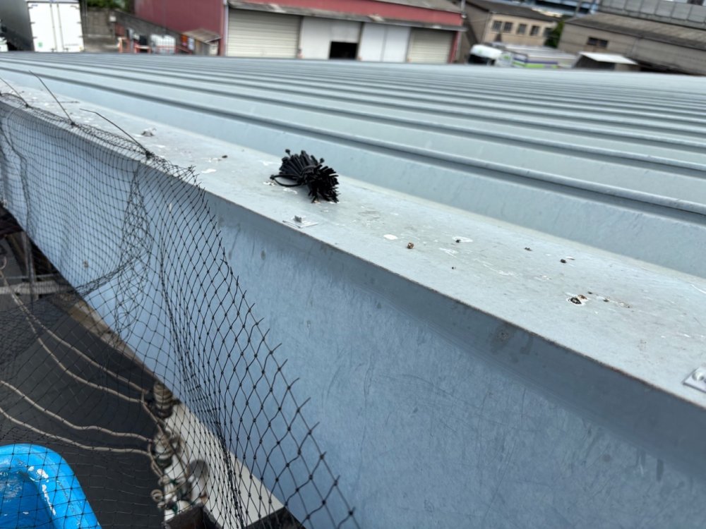害獣駆除