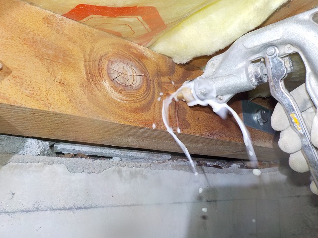 害虫駆除