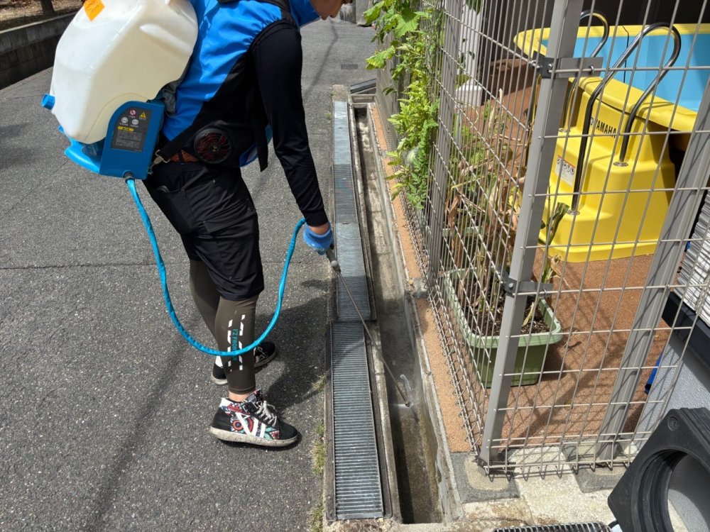 害虫駆除