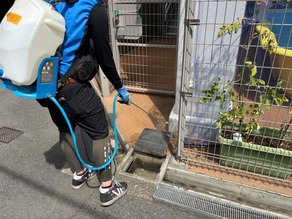 害虫駆除