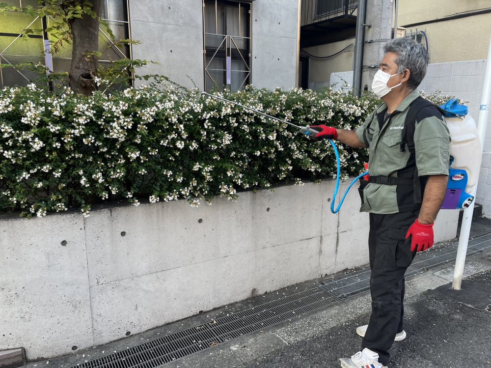 害虫駆除