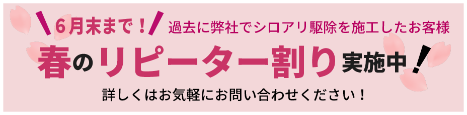 [キャンペーン]春のリピーター割り実施中！過去に弊社でシロアリ駆除を施工したお客様